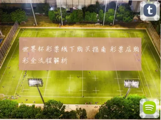 体彩怎么买？线下实体店购买流程指南